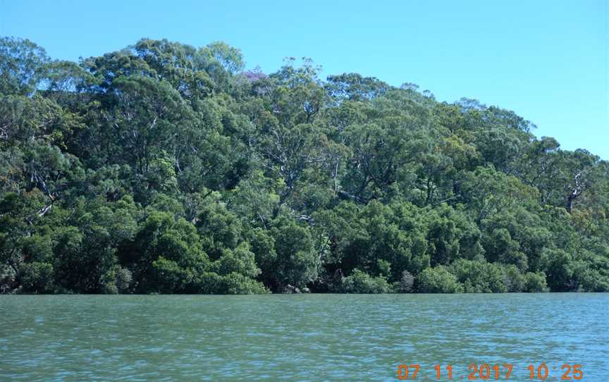 Carss Bush Park, Carss Park, NSW