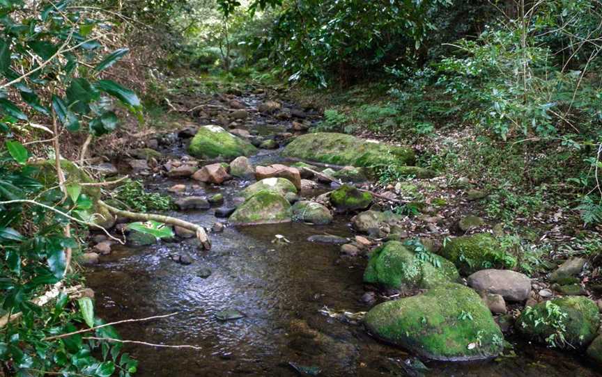 Cascades picnic area, Macquarie Pass, NSW