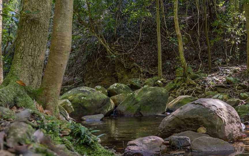 Cascades picnic area, Macquarie Pass, NSW