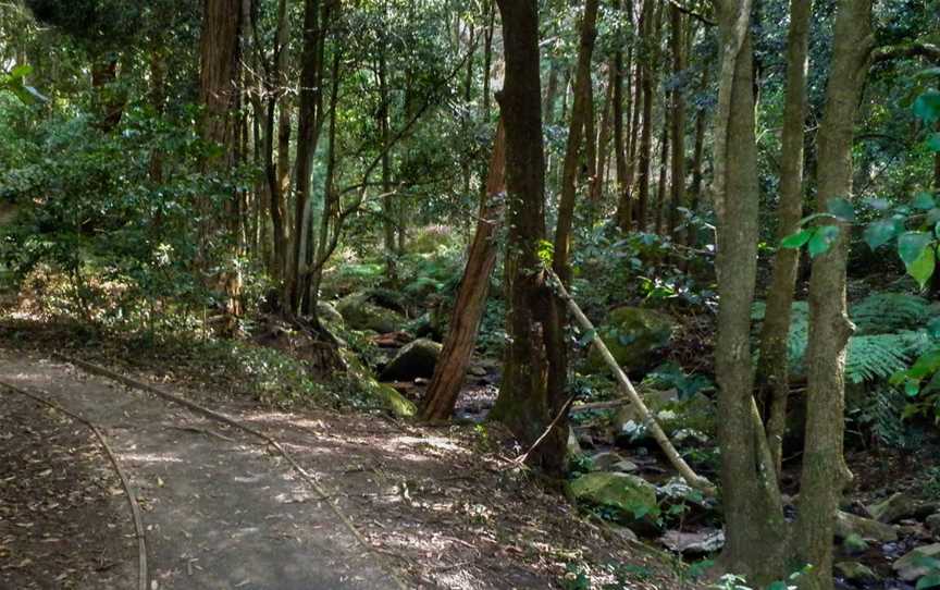 Cascades Walk, Macquarie Pass, NSW