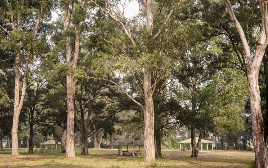 Cattai Farm picnic area, Cattai, NSW