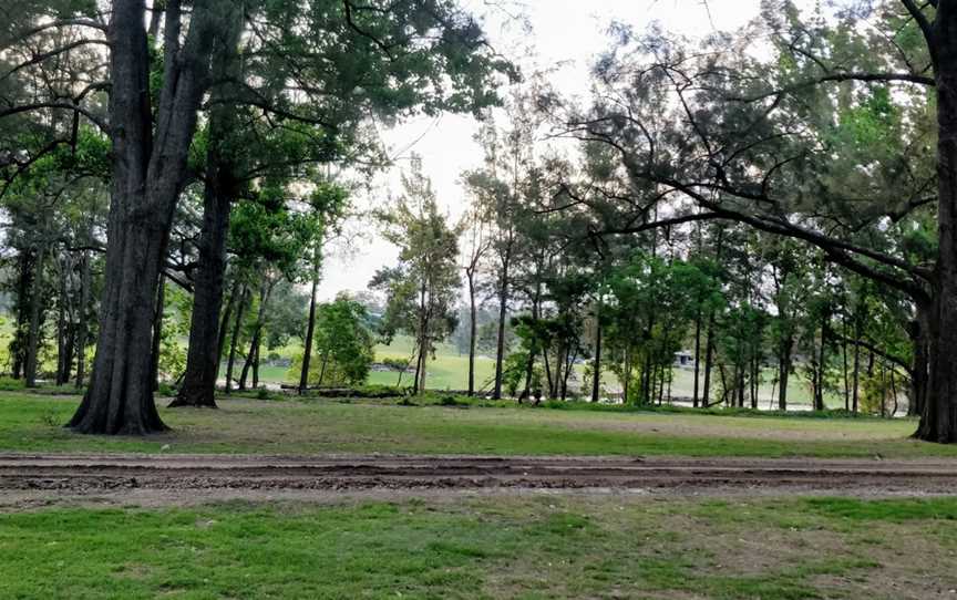 Cattai Farm picnic area, Cattai, NSW