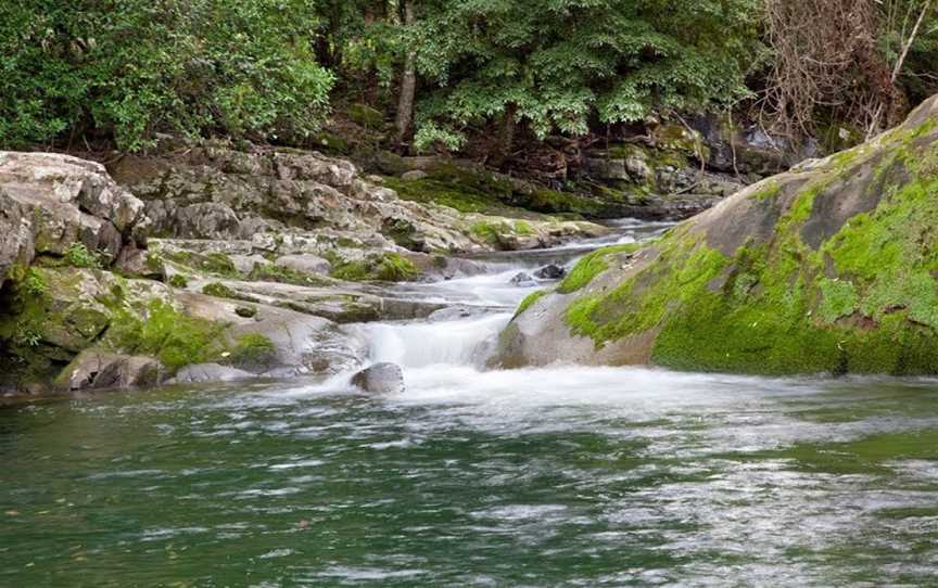 Chichester State Forest - Allyn River, Upper Allyn, NSW