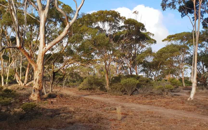 Christmas Rock Walk Trail, Wongan Hills, WA