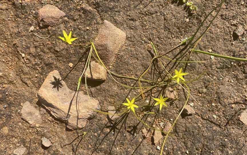 Christmas Rock Walk Trail, Wongan Hills, WA