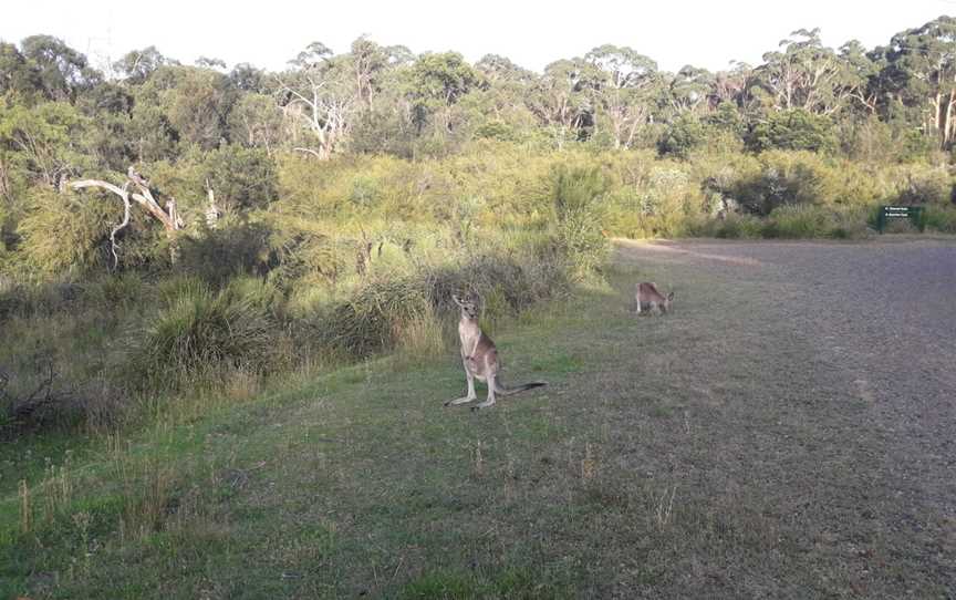 Churchill National Park, Lysterfield South, VIC