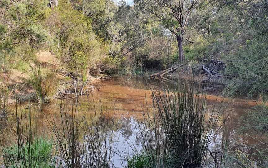 Churchill National Park, Lysterfield South, VIC