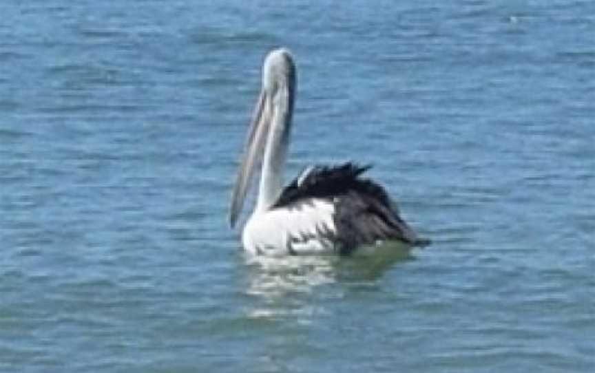 Claremont Isles National Park, Coen, QLD