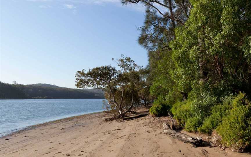 Clyde River National Park, Batemans Bay, NSW