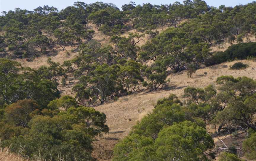 Cobbler Creek Recreation Park, Salisbury East, SA