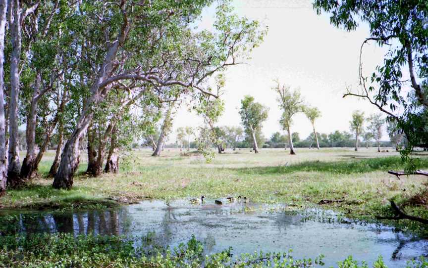 Cobourg Peninsula, Cobourg, NT