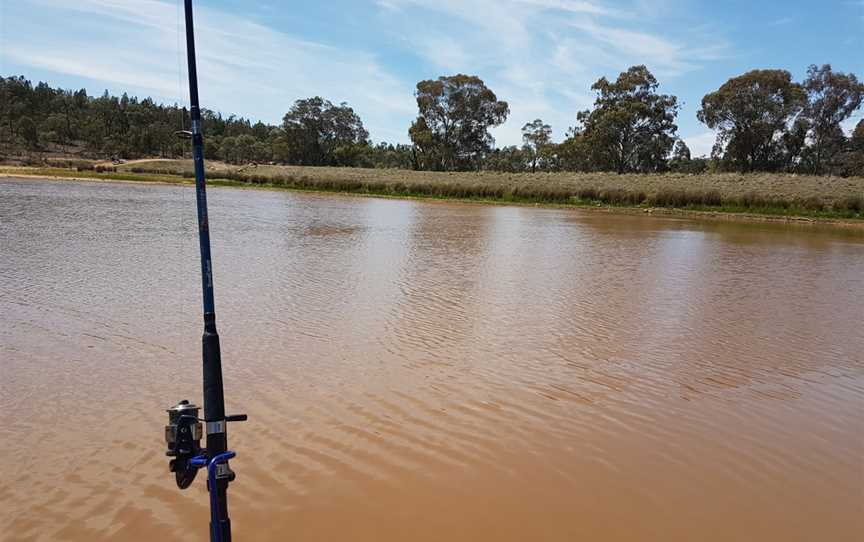 Company Dam, Grenfell, NSW