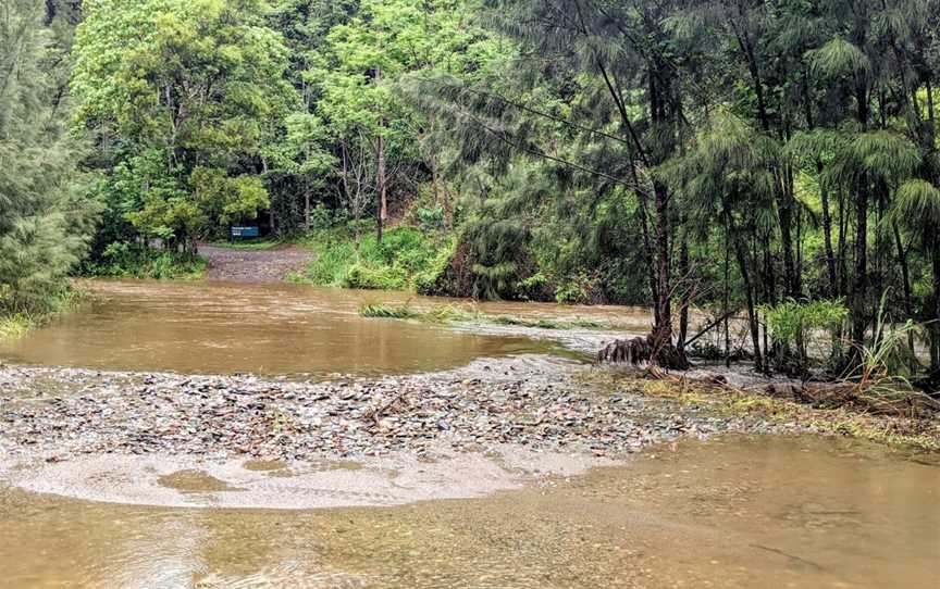 Conondale National Park, Conondale, QLD