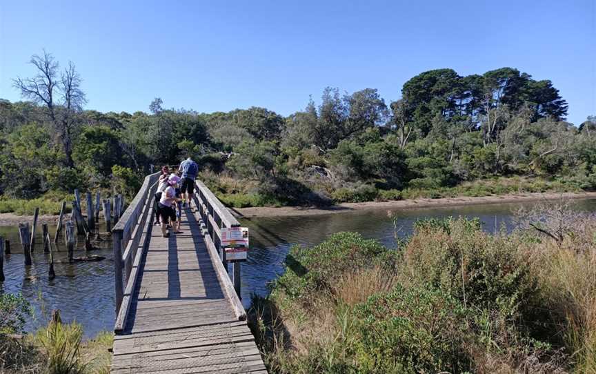 Coolart Wetlands and Homestead Reserve, Somers, VIC