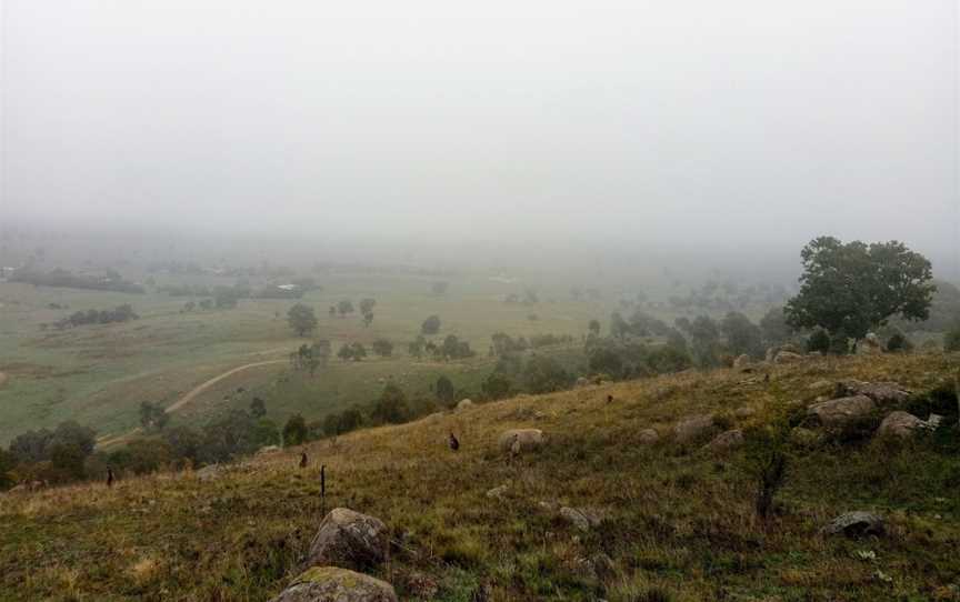 Cooleman Ridge, Chapman, ACT