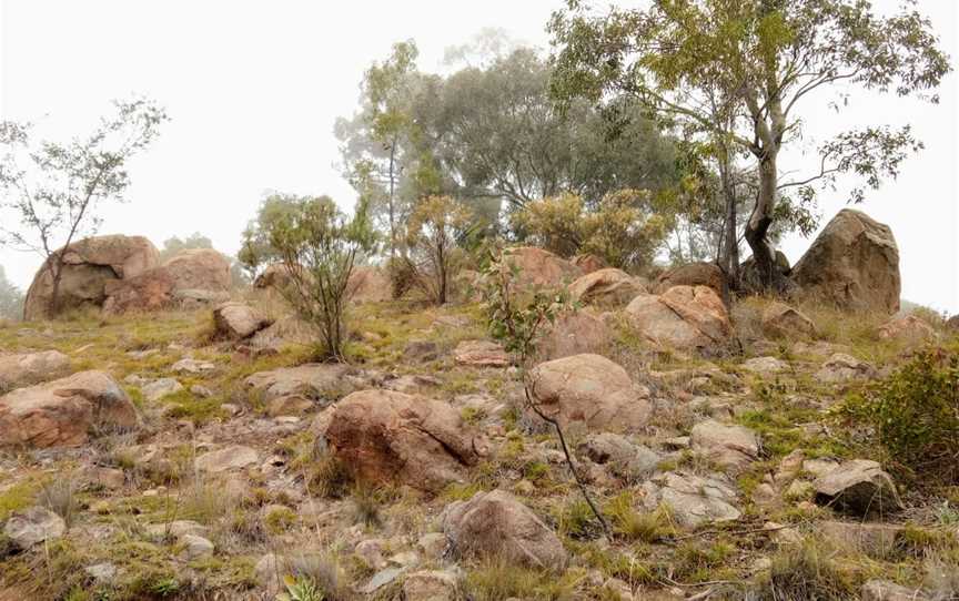 Cooleman Ridge, Chapman, ACT