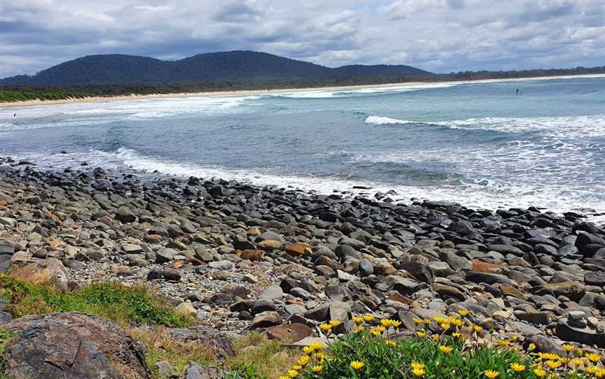 Crescent Head Surfing Reserve, Crescent Head, NSW