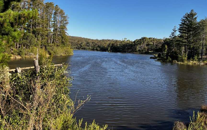 Creswick Regional Park, Creswick, VIC