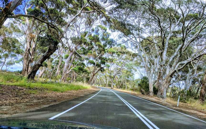 Cygnet River, Cygnet River, SA