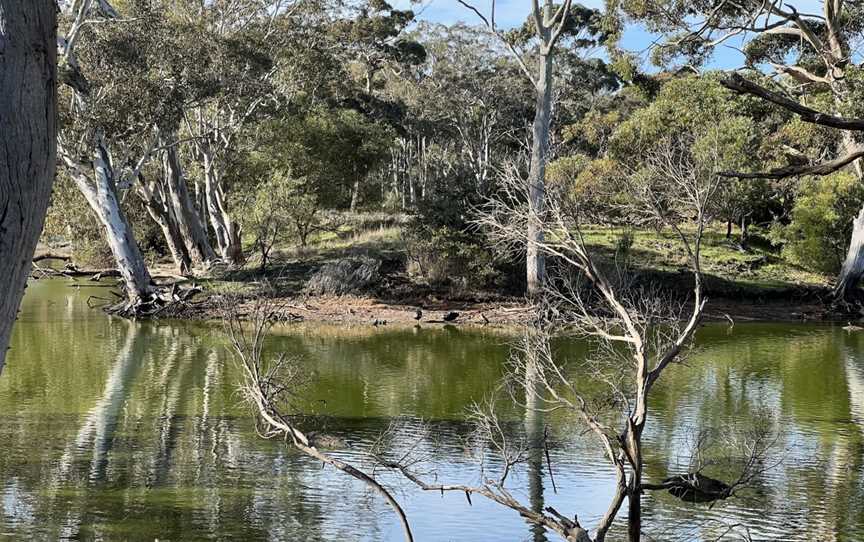 Cygnet River, Cygnet River, SA