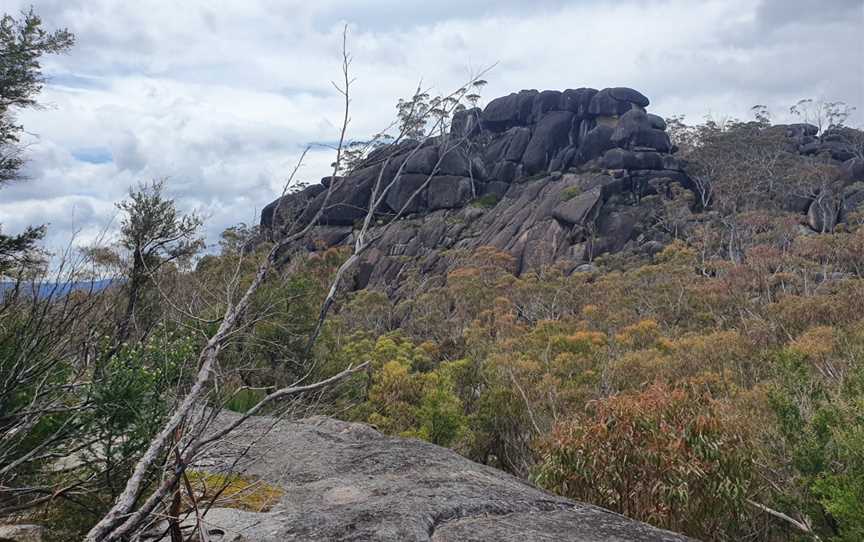 Dandahra Crags Walking Track, Gibraltar Range, NSW