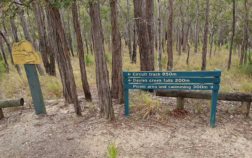 Davies Creek National Park and Dinden National Park, Mareeba, QLD