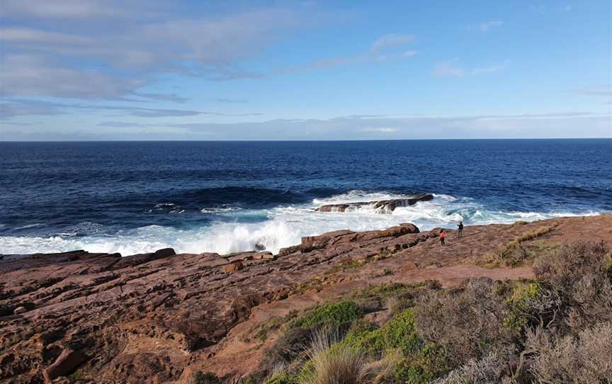 Disaster Bay lookout, Green Cape, NSW