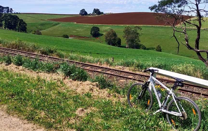 Eastern Dandenong Ranges Trail, Gembrook, VIC