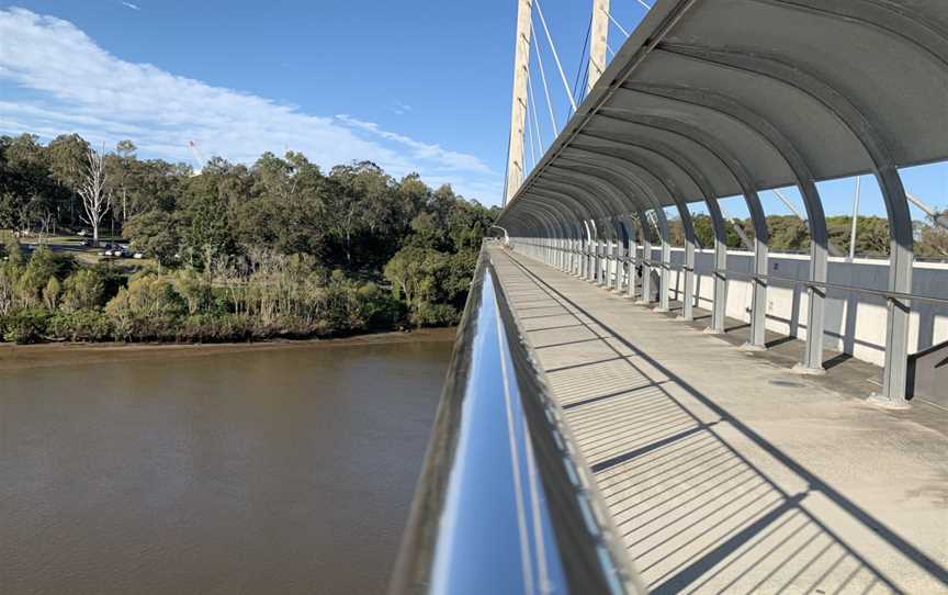 Eleanor Schonell Bridge, Dutton Park, QLD