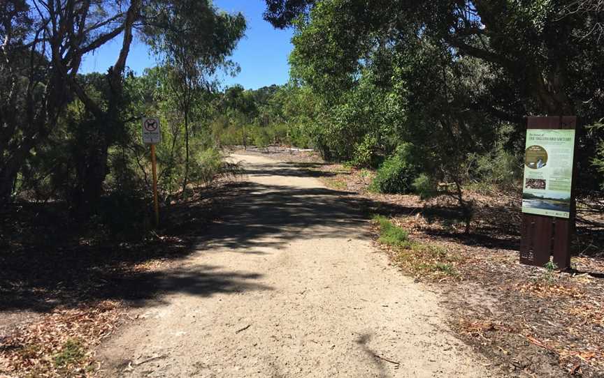 Eric Singleton Bird Sanctuary, Bayswater, WA