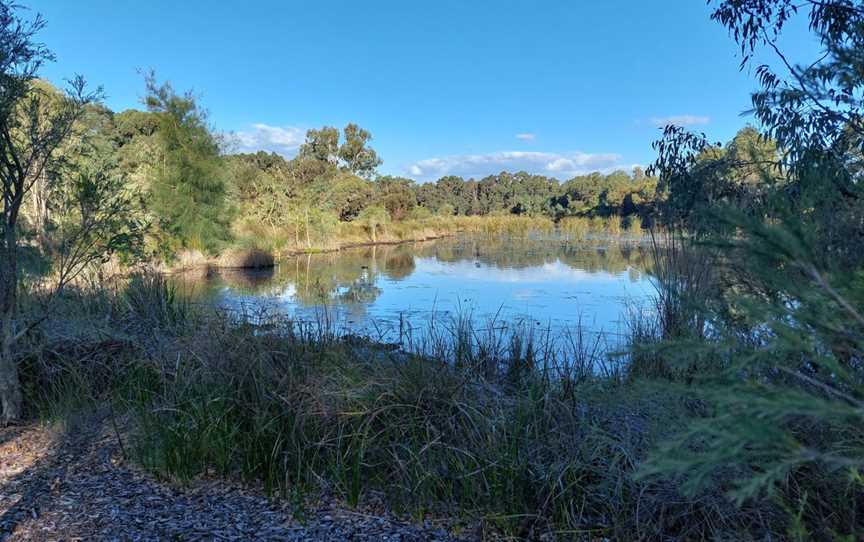 Eric Singleton Bird Sanctuary, Bayswater, WA