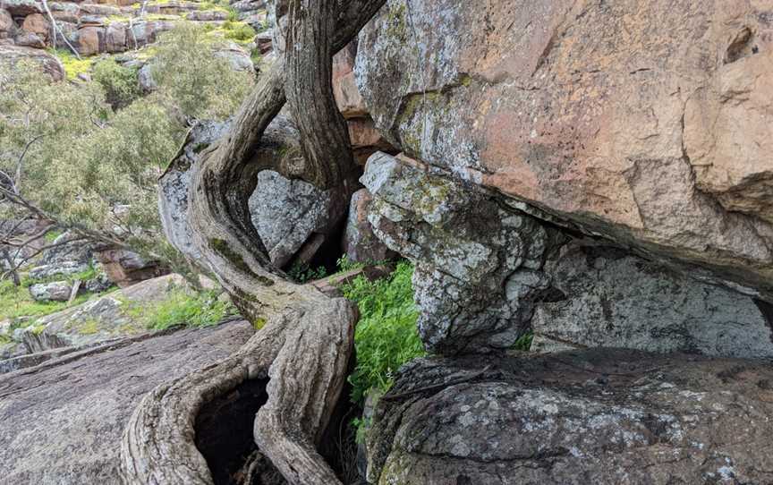 Falcon Falls walking track, Yenda, NSW