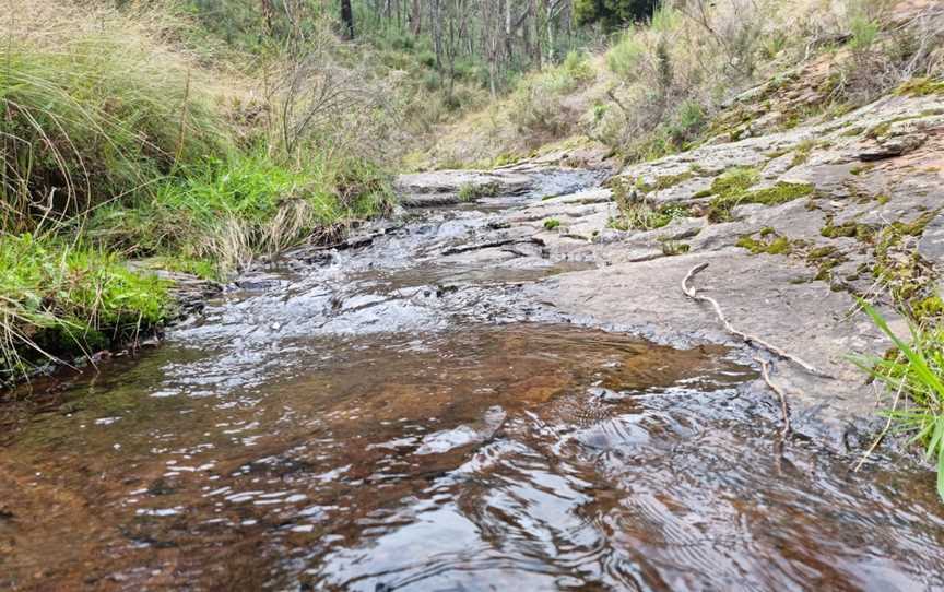 Federal Falls Walk, Canobolas, NSW