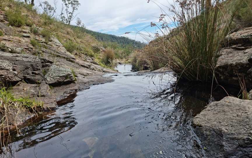 Federal Falls Walk, Canobolas, NSW