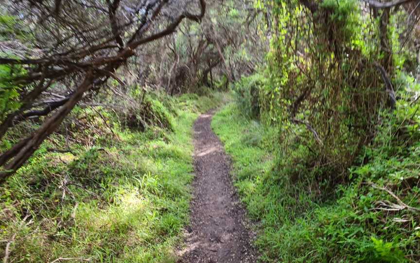 Fingal Picnic Area, Cape Schanck, VIC