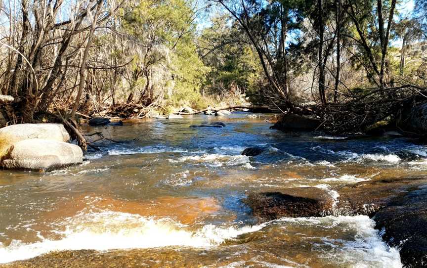 Flat Rock Picnic Area, O'Connell, NSW