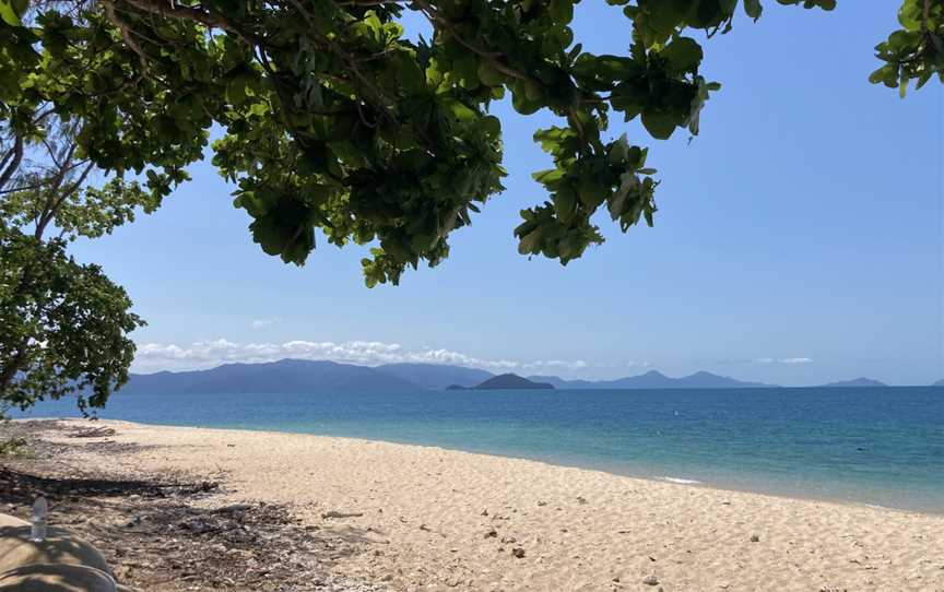 Frankland Islands Dive Site, East Russell, QLD