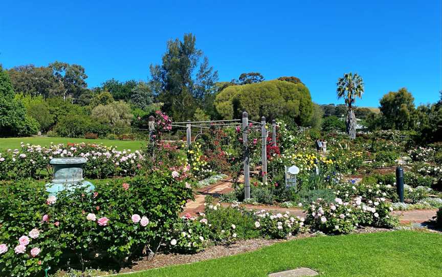 Furner & Ken Stuckey Arboretum, Urrbrae, SA