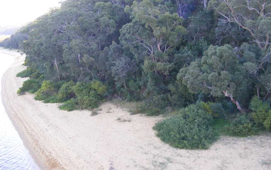 Georges River Nature Reserve, Holsworthy, NSW