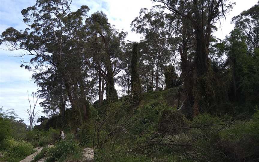 Georges River Nature Reserve, Holsworthy, NSW