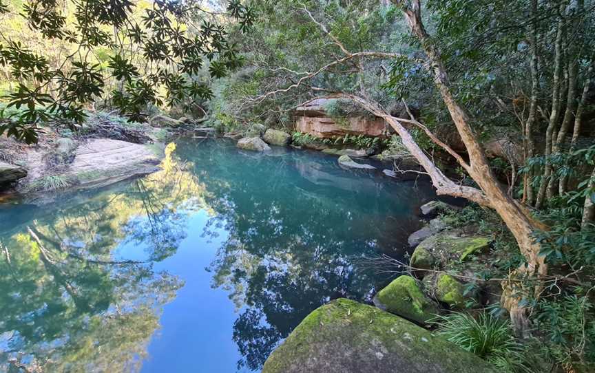 Gibberagong Walking Track, North Turramurra, NSW