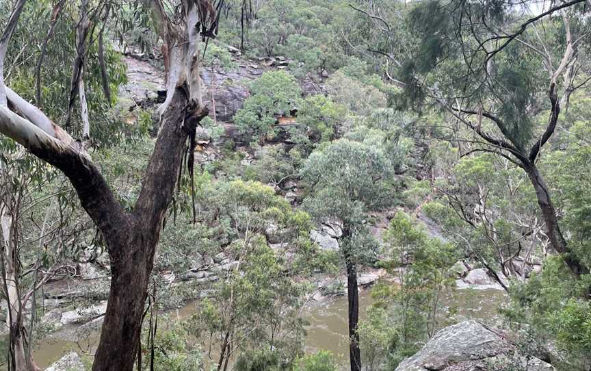 Glenbrook Gorge Track, Glenbrook, NSW