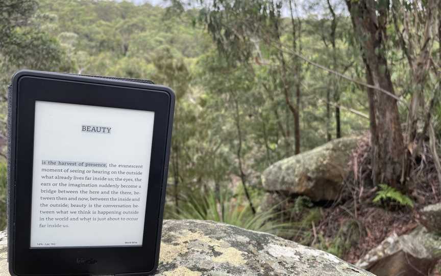 Glenbrook Gorge Track, Glenbrook, NSW