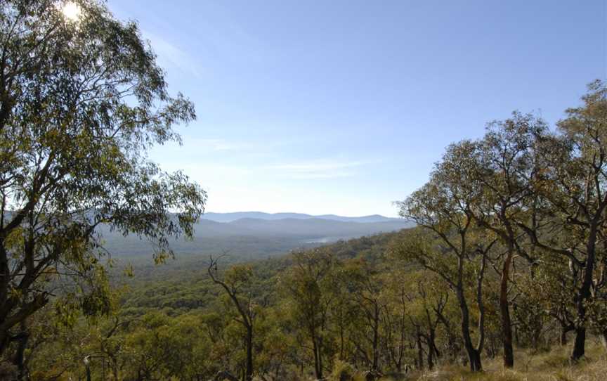 Goanna Walking Track, Koondrook, VIC