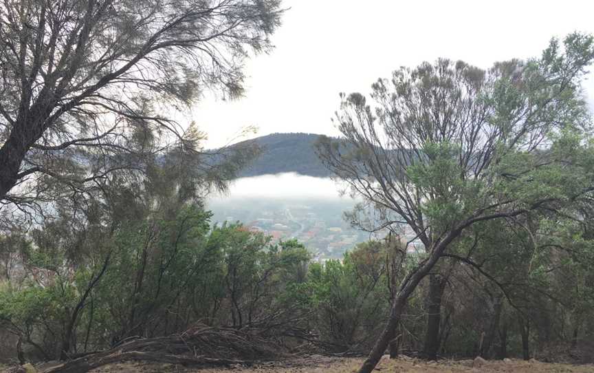 Gordons Hill Nature Recreation Area, Rose Bay, TAS