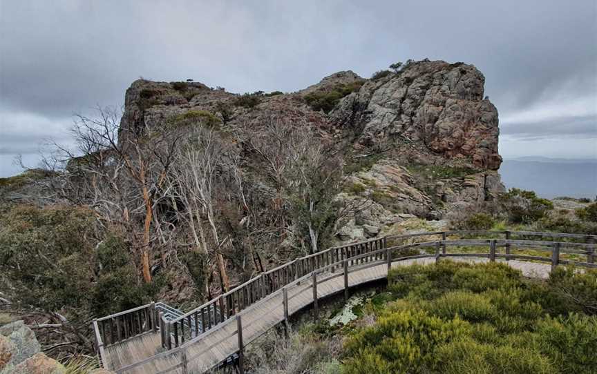 Governor Summit (Corrunbral Borawah) Walking Track, Kaputar, NSW