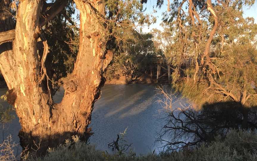 Great Darling Anabranch, Wentworth, NSW