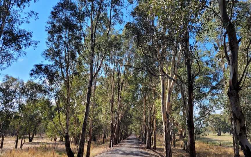 Great Victorian Rail Trail, Merton, VIC