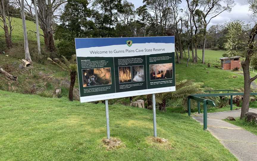 Gunns Plains Caves, Gunns Plains, TAS