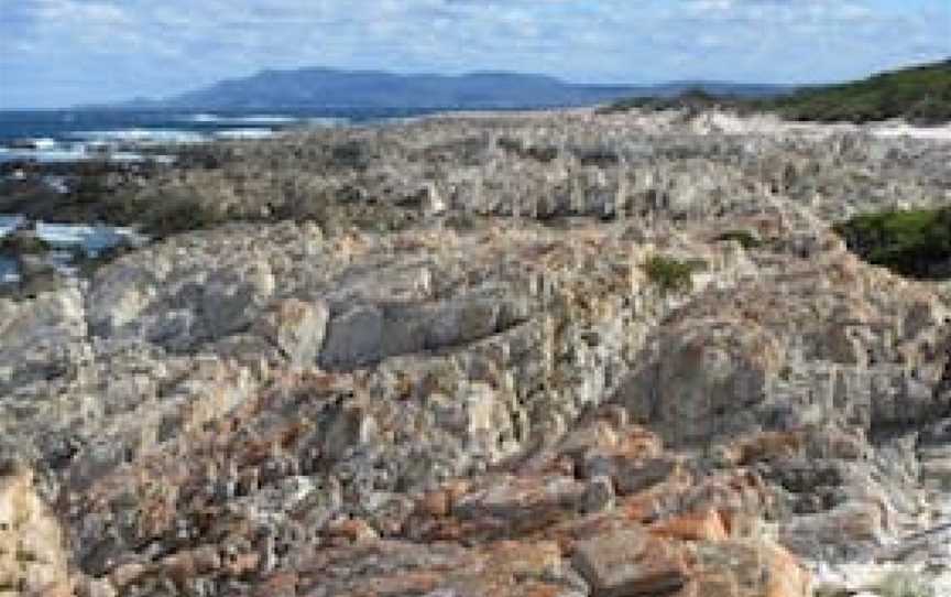 Hakea Walk Trail, East Fitzgerald National Park, Fitzgerald River National Park, WA